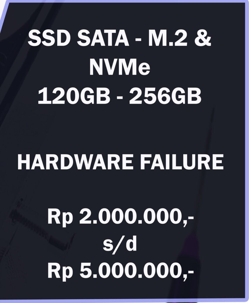 Biaya recovery data SSD 256GB